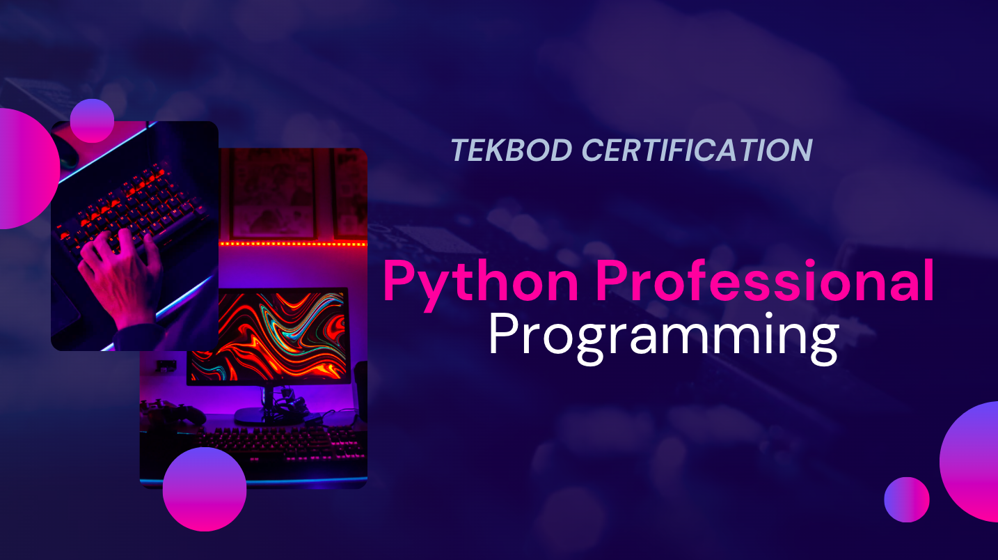 Python Professional: The OOP and Pro-Tooling Mastery